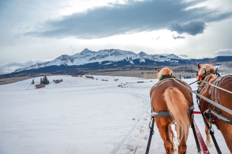 We Know the Best Things to Do in Leavenworth in December Pine River Ranch