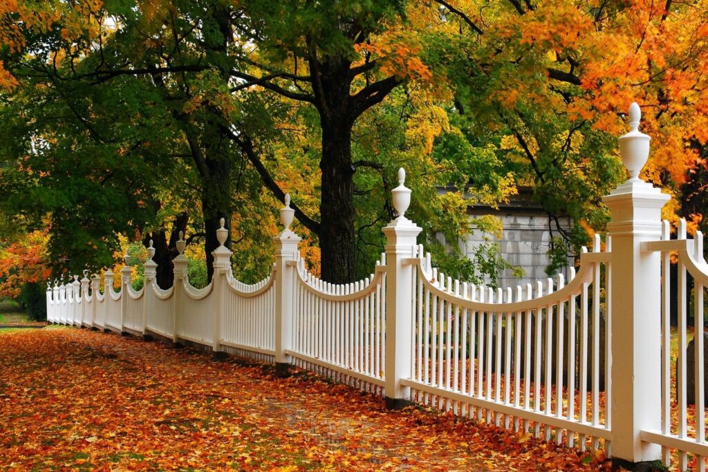 White fence and fall foliage