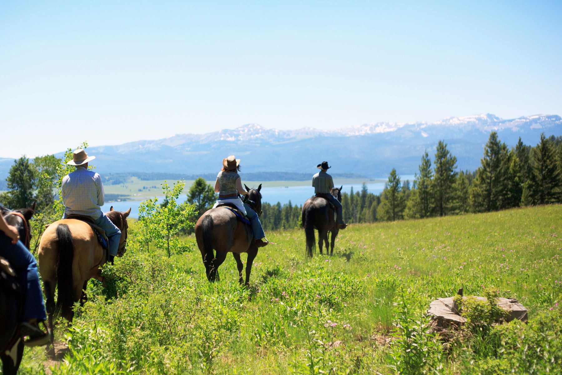 Discover the Best Guided Tours in Leavenworth, WA