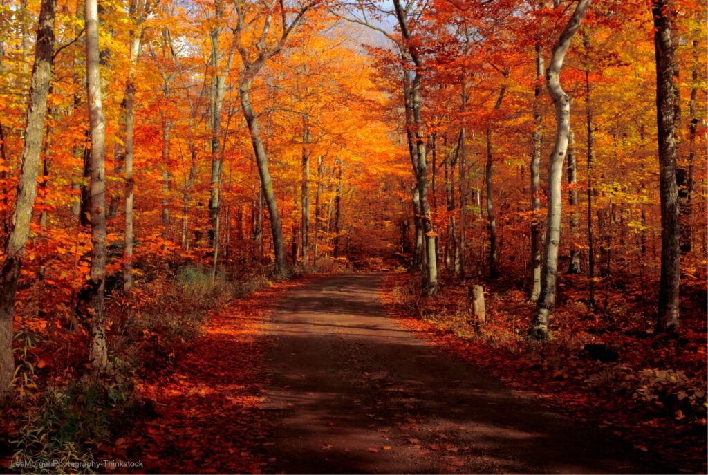 Door County Fall Colors