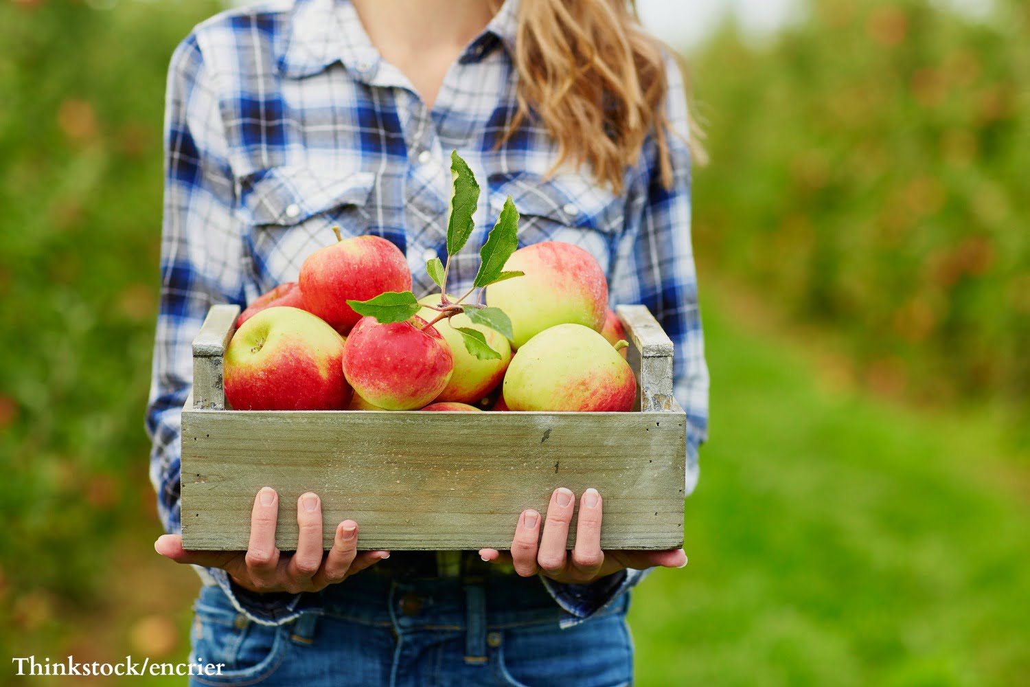 Door County Apple Orchards