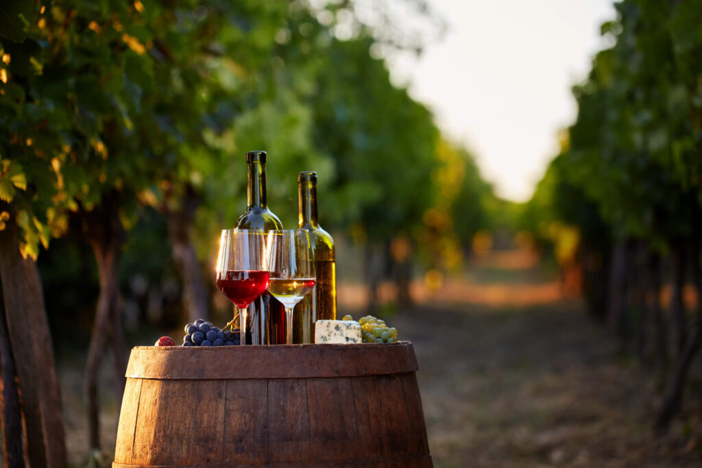 winery on wine trail in vineyard