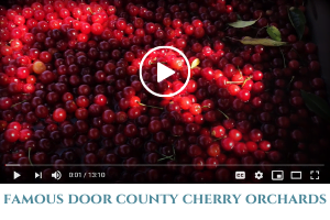 cherry video
