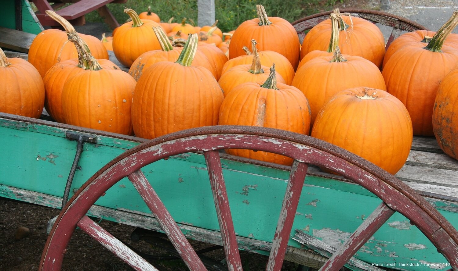 pumpkins on a teal wagon
