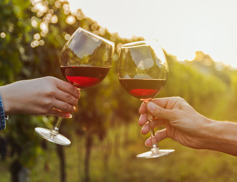 Two wine glasses filled with red wine, held by the stems in a vineyard setting