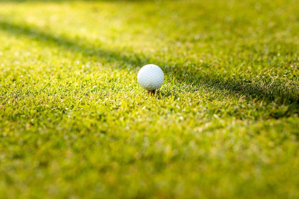 Closeup of a golf ball on a golf course